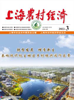 上海农村经济